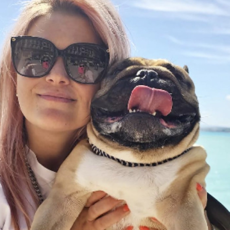 Junior, bouledogue français, avec son collier tressé olive et blanc et son cuir vegan guacamole