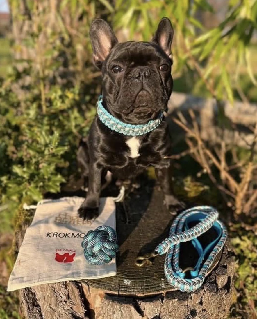 Krokmou, bouledogue noir debout près de son pochon en coton à son prénom, avec son collier turquoise à perles et sa Crazy Ball assortie