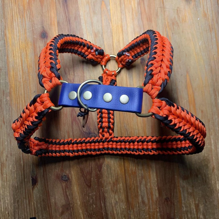 Harnais Y baudrier à plat&nbsp;: forme courte tressée en paracorde orange et noire, partie en cuir vegan en travers avec l'anneau pour la laisse
