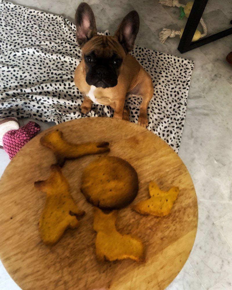 biscuits pour chien