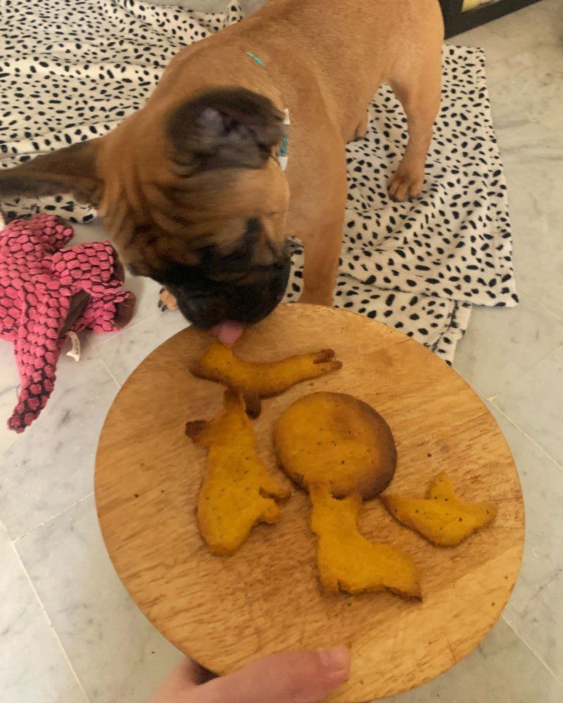 Biscuits pour chien : carotte - curcuma - cacahuètes