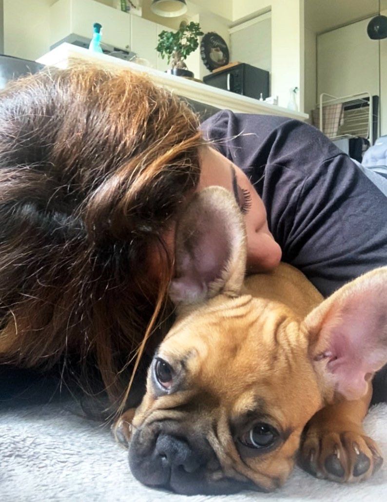 bouledogue mom