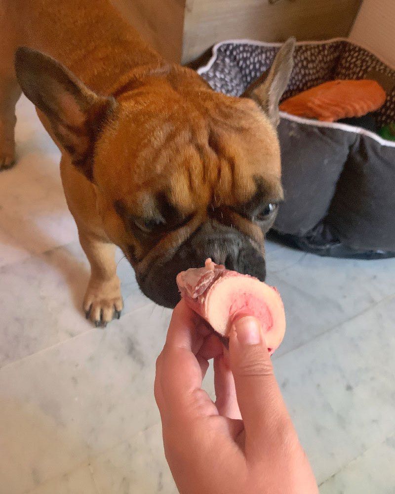 ration ménagère bouledogue