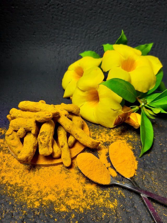 curcuma pour bouledogue