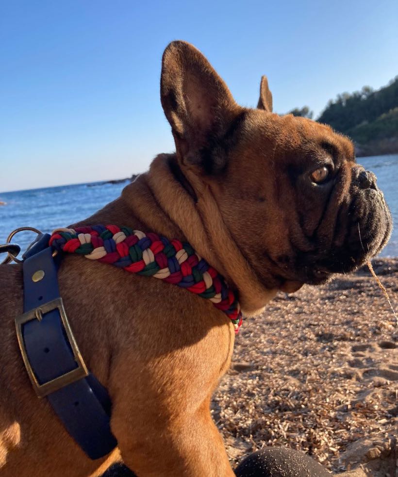 Les Looks de Février