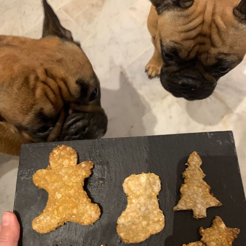 Biscuits de Noël miel et curcuma pour chien