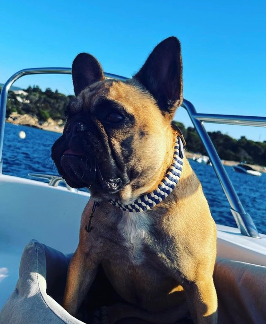 Boubou assis sur un bateau devant la mer, portant le collier Marinière tressé bleu marine et blanc