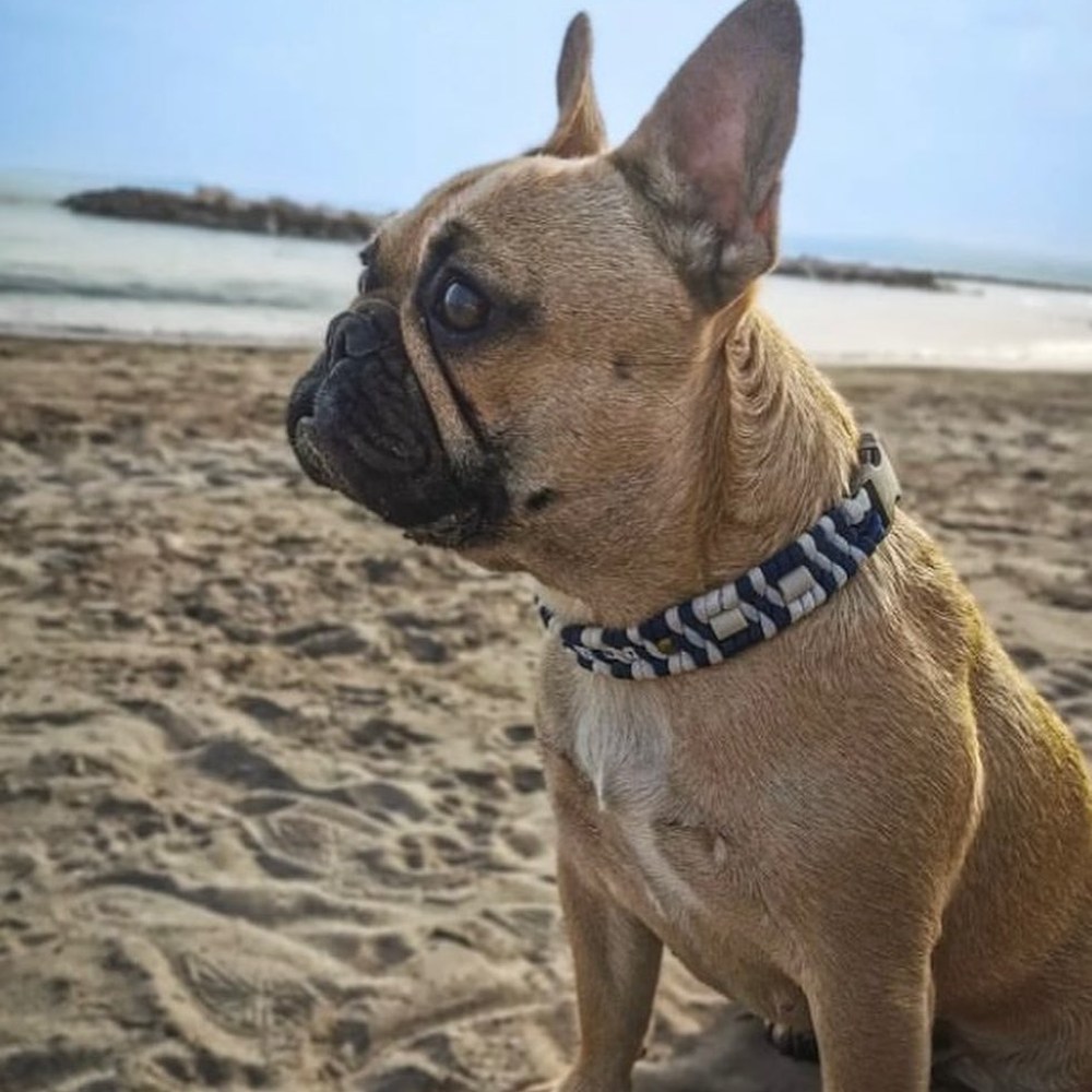 Boubou assis sur la plage portant un collier trilo bleu marine et blanc à perles de céramique EM