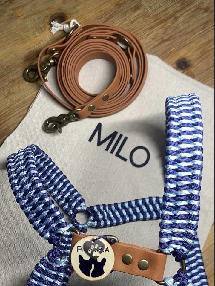 Un pochon en coton au prénom du chien, une médaille en bois, un harnais tressé bleu et une laisse en cuir vegan fauve