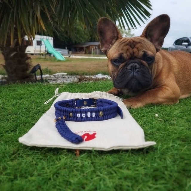 Bouledogue et son collier à perles de céramique EM