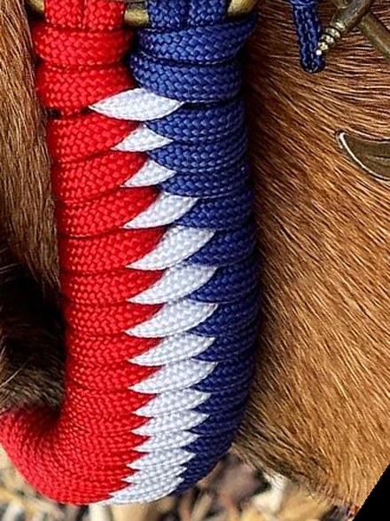 Tissage Frenchie dragon : le tressage dragon en bleu marine, blanc et rouge