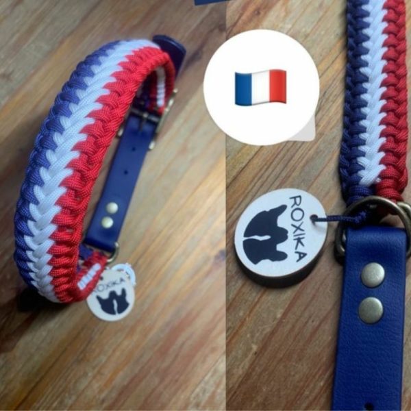 Collier Frenchie