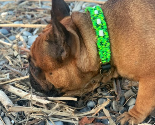 collier vert printemps