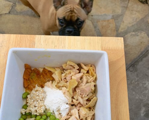 ration ménagère bouledogue