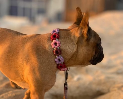 collier fleurs