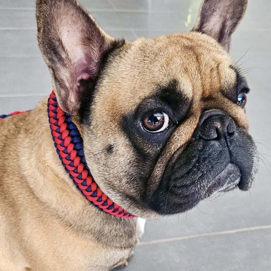 collier bleu et rouge